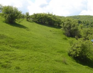 Telek eladó on Tauti