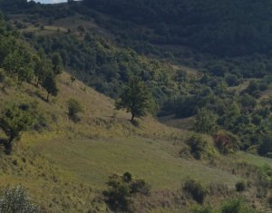 Telek eladó on Tauti
