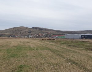 Terrain à vendre dans Sannicoara