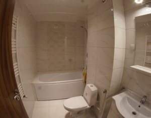 Lakás 1 szobák kiadó on Cluj-napoca, Zóna Intre Lacuri