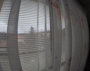 Ház 8 szobák eladó on Cluj-napoca, Zóna Baciu