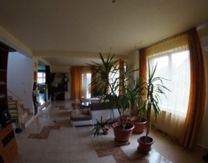 , 550m2 on Cluj-napoca, Zóna Gheorgheni