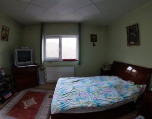 Maison 8 chambres à vendre dans Cluj-napoca, zone Grigorescu