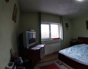 Maison 8 chambres à vendre dans Cluj-napoca, zone Grigorescu