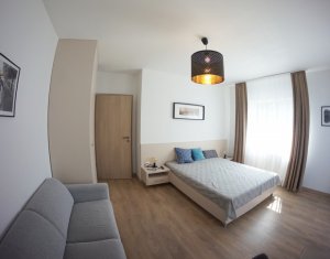 Appartement 1 chambres à louer dans Cluj-napoca, zone Zorilor
