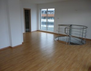 Appartement 4 chambres à vendre dans Cluj-napoca, zone Buna Ziua