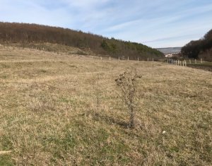 , 1000m2 dans Floresti