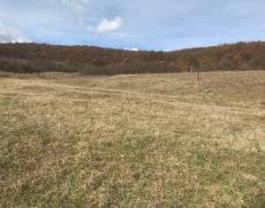 Terrain à vendre dans Floresti