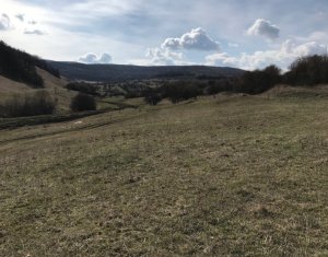 Terrain à vendre dans Floresti