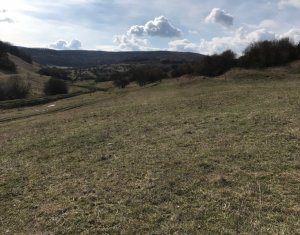 Terrain à vendre dans Floresti