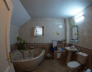 Maison 4 chambres à louer dans Cluj-napoca, zone Andrei Muresanu