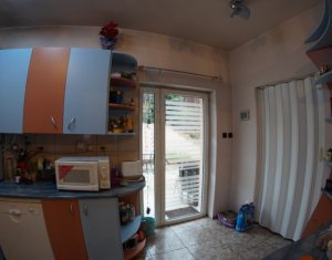 Maison 4 chambres à louer dans Cluj-napoca, zone Andrei Muresanu