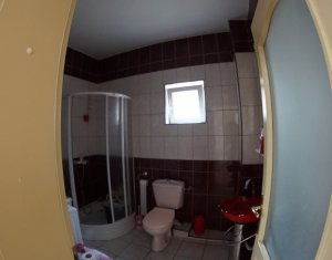 Maison 4 chambres à louer dans Cluj-napoca, zone Andrei Muresanu