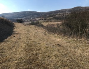, 11600m2 dans Floresti