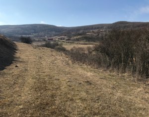 Terrain à vendre dans Floresti
