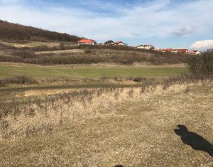 Terrain à vendre dans Floresti
