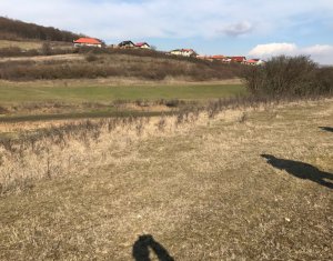 Terrain à vendre dans Floresti