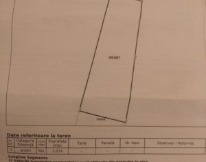 Terrain à vendre dans Floresti