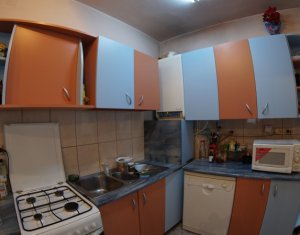 Maison 4 chambres à vendre dans Cluj-napoca, zone Andrei Muresanu