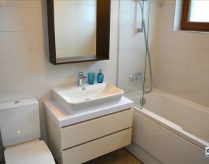 Appartement 3 chambres à louer dans Cluj-napoca, zone Andrei Muresanu