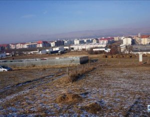 Terrain à vendre dans Floresti