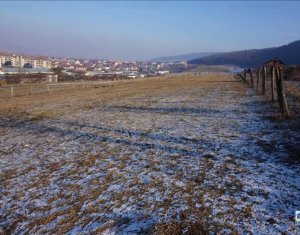 Terrain à vendre dans Floresti