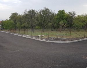 , 500m2 dans Cluj-napoca, zone Andrei Muresanu