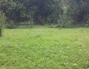 Terrain à vendre dans Cluj-napoca, zone Andrei Muresanu