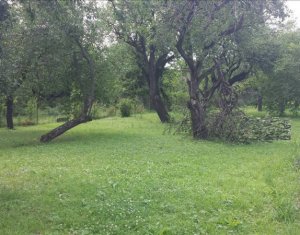 Terrain à vendre dans Cluj-napoca, zone Andrei Muresanu