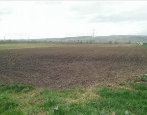 , 5800m2 dans Cluj-napoca, zone Apahida