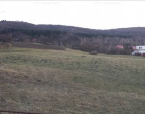 , 1000m2 dans Cluj-napoca, zone Faget