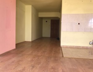 Appartement 4 chambres à vendre dans Cluj-napoca, zone Centru