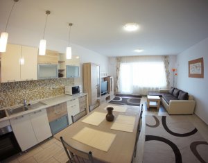 Appartement 3 chambres à louer dans Cluj-napoca, zone Marasti