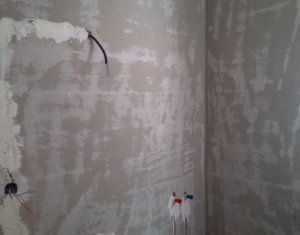 Maison 4 chambres à vendre dans Floresti