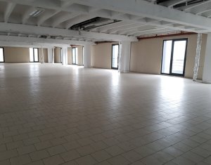 Ipari helyiség kiadó on Cluj-napoca, Zóna Someseni