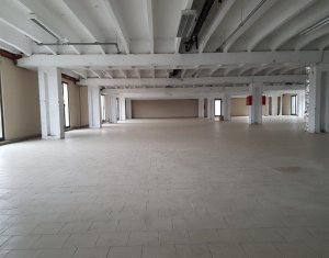 Ipari helyiség kiadó on Cluj-napoca, Zóna Someseni