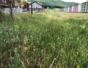 , 600m2 on Floresti