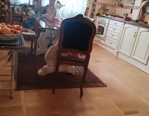Lakás 2 szobák kiadó on Cluj-napoca, Zóna Gheorgheni