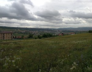 Terrain à vendre dans Cluj-napoca, zone Borhanci