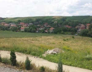 Telek eladó on Dezmir