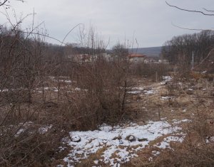 Telek eladó on Cluj-napoca, Zóna Faget
