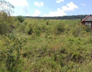Terrain à vendre dans Cluj-napoca, zone Iris