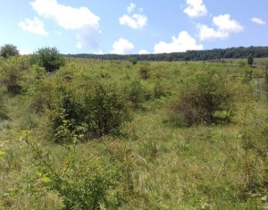 Terrain à vendre dans Cluj-napoca, zone Iris