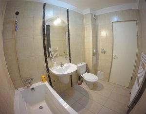 Appartement 1 chambres à louer dans Cluj-napoca, zone Zorilor
