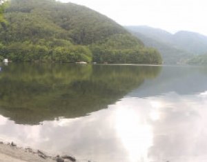 , 2000m2 on Tarnita