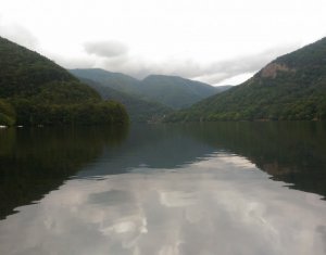 Telek eladó on Tarnita