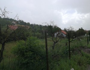 , 446m2 dans Feleacu