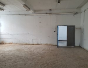 Ipari helyiség kiadó on Cluj-napoca, Zóna Gara