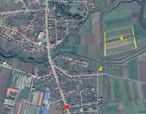 , 50000m2 on Rascruci