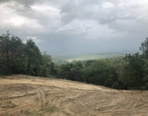 , 1230m2 on Feleacu